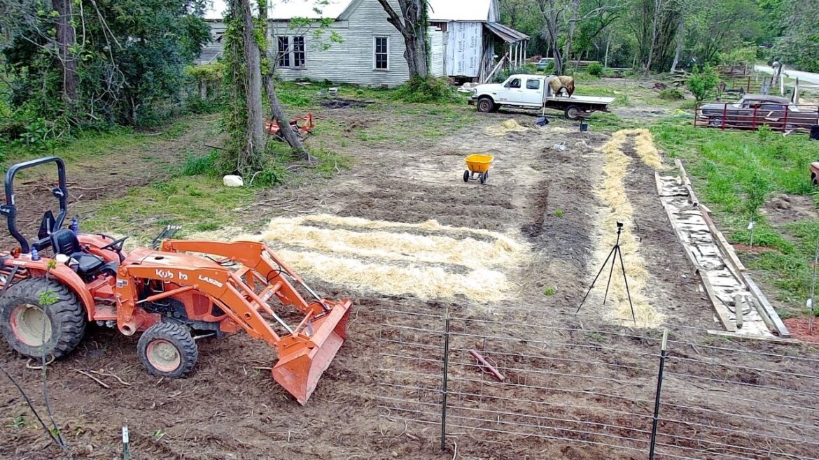 PLOWING ANOTHER TOMATO BED | CATTLE PANEL TOMATO TRELLIS NUMBER 2