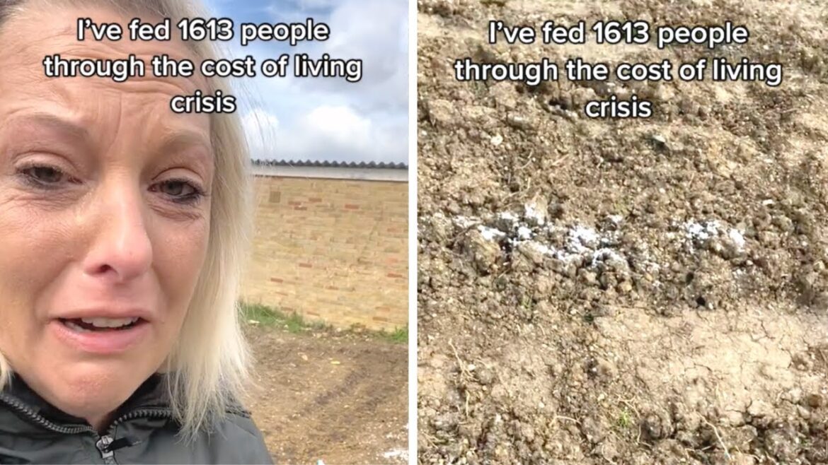 After A UK Woman's Garden Feeding Those In Need Was Vandalized, People On TikTok Stepped In To Help
