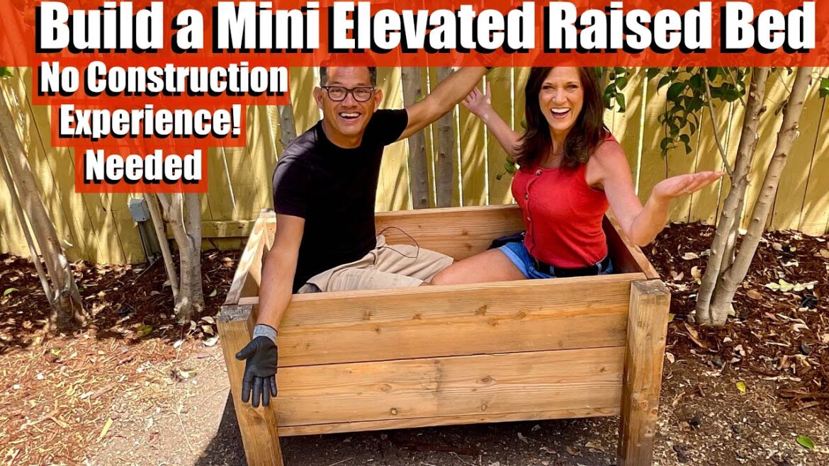 How to Build a Mini Elevated Raised Bed in 5 Easy Steps - No Construction Experience Needed!