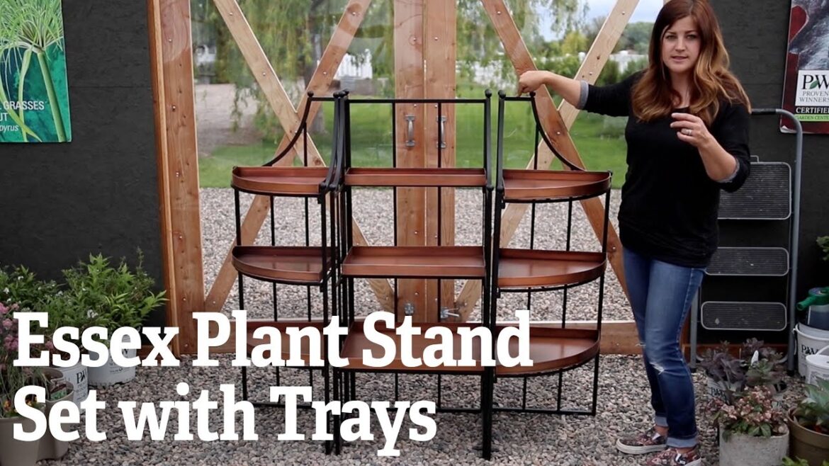 Essex Plant Stand Set with Trays Essex Plant Stand Set with Trays