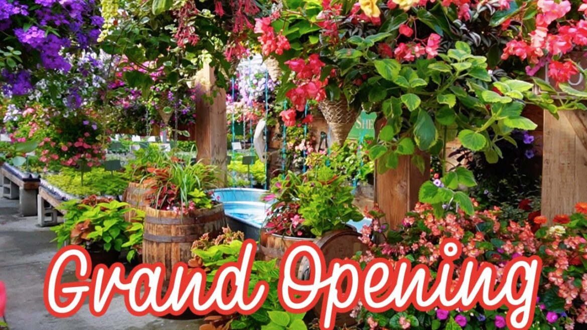 Grand Opening Day Grand Opening Day