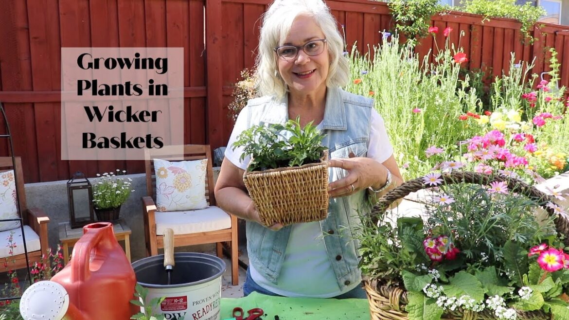 Growing Plants in Wicker Baskets | Container Gardening Growing Plants in Wicker Baskets | Container Gardening