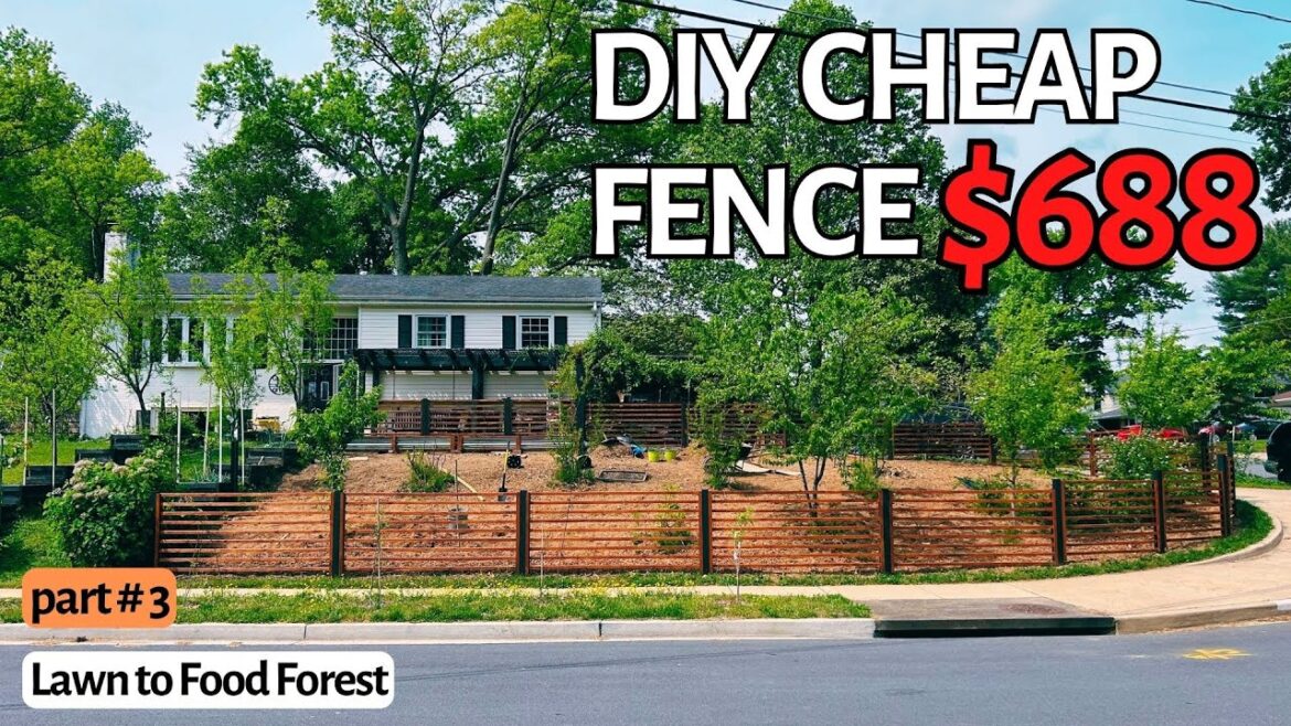 DIY Garden Fence. My Lawn to Food Forest. 2023 Front Yard Lawn Garden Transformation. Part #3.