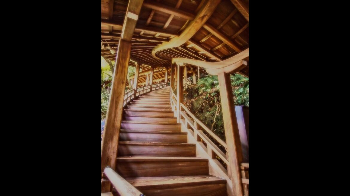 【Japanese Landscape】#shorts #Japan #Landscape #shrine #temple