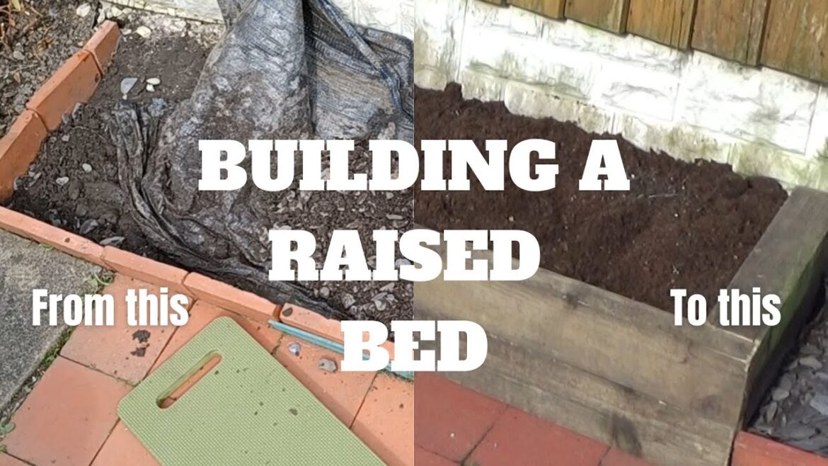 Building a Raised Bed | New Vegetable Garden | Raised Bed DIY Gardening Ideas | Raised Veg Bed Patch
