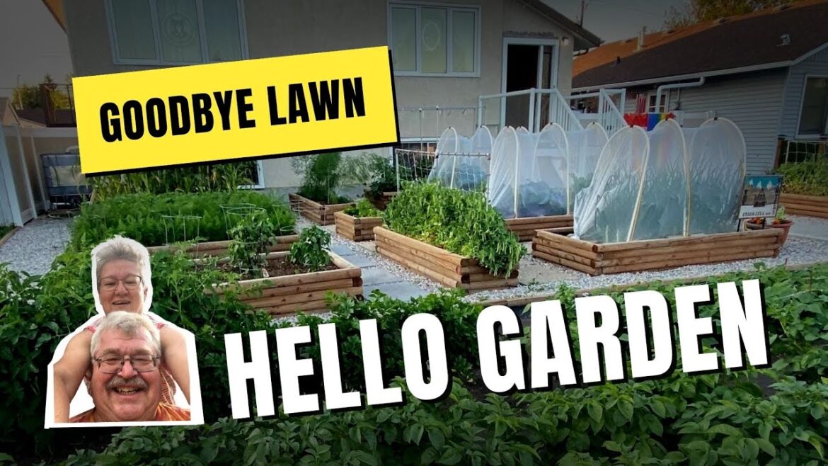 Member Spotlight: Goodbye Lawn! Hello Garden