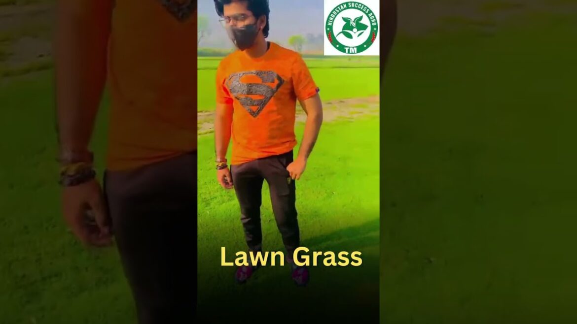 Lawn Grass Video #gardeningtips #gardening #garden #lawngrass