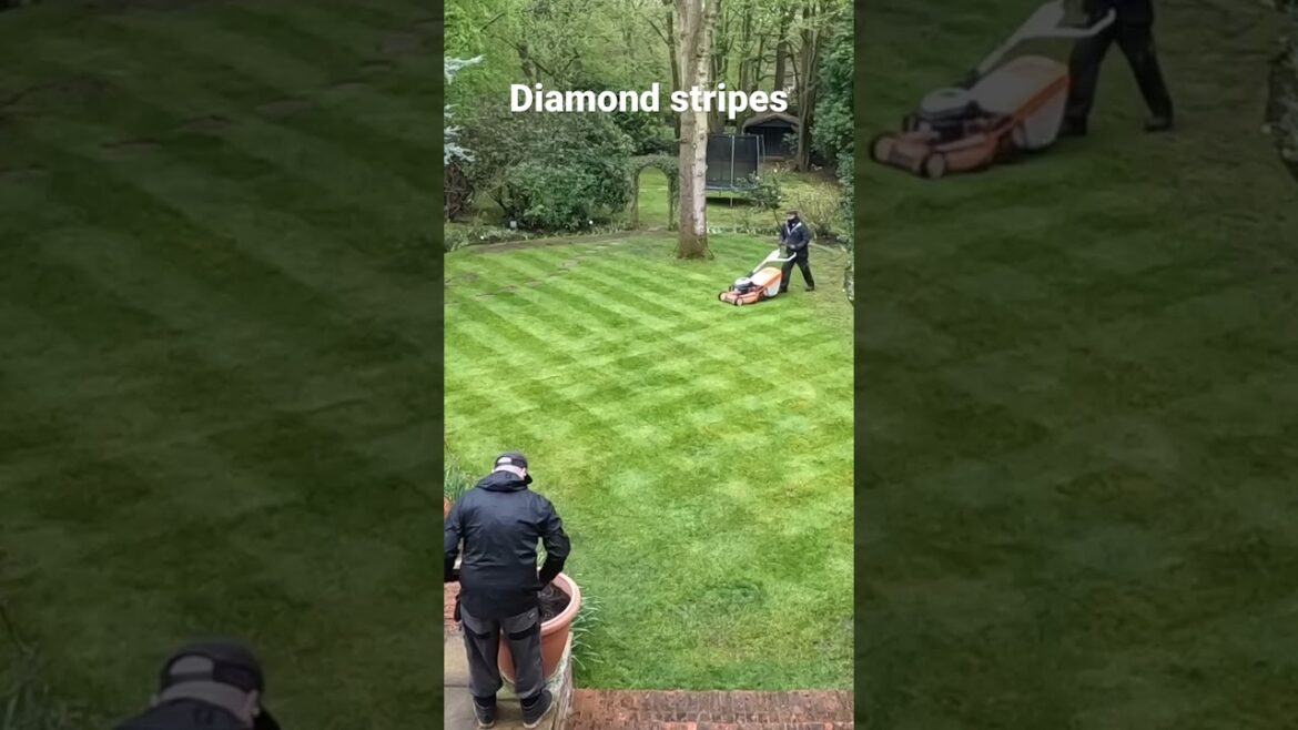 Mowing 💎DIAMOND💎 Stripes