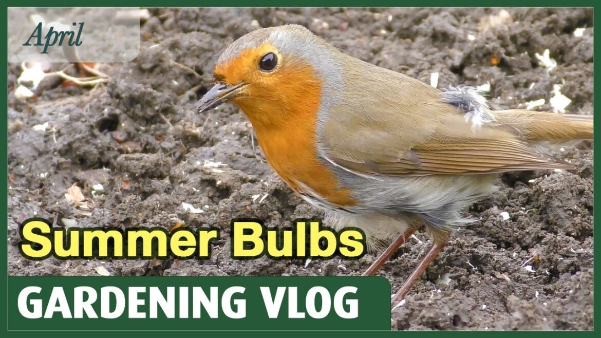 Planting the final Summer bulbs | Gardening Vlog