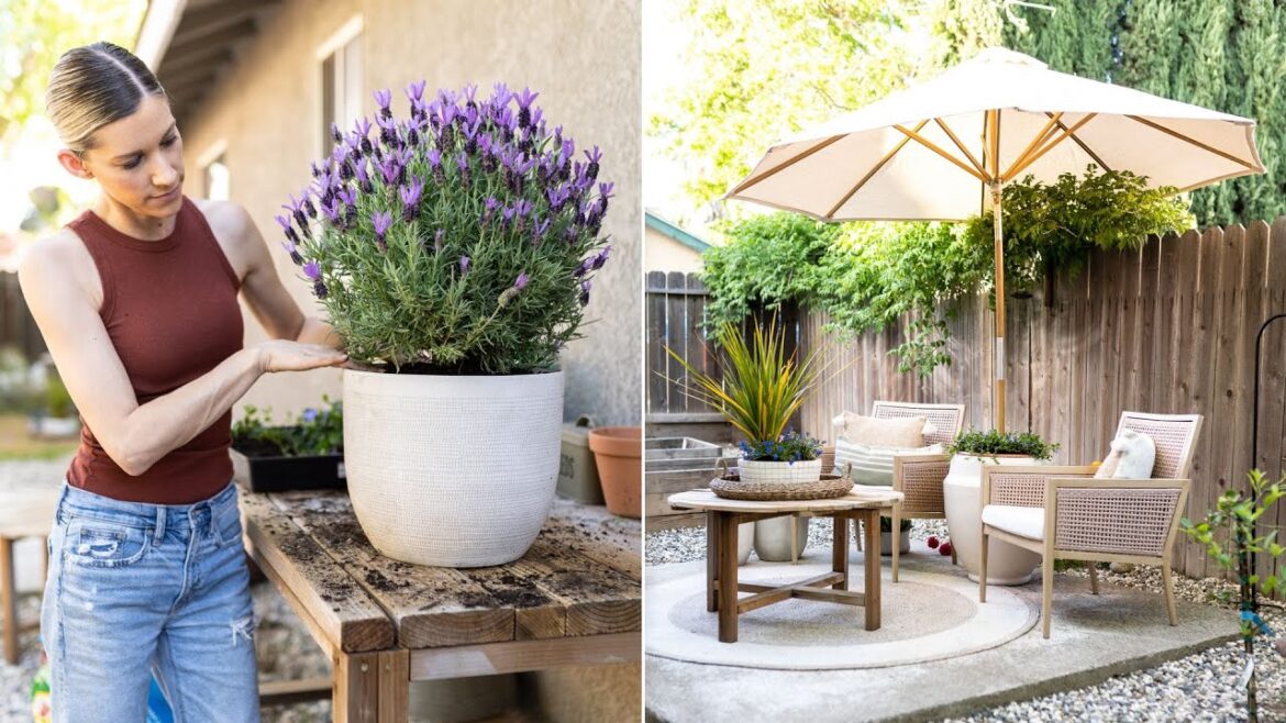 BEAUTIFUL PATIO DECORATING IDEAS // SPRING PATIO REFRESH // SMALL OUTDOOR PATIO STYLING BEAUTIFUL PATIO DECORATING IDEAS // SPRING PATIO REFRESH // SMALL OUTDOOR PATIO STYLING