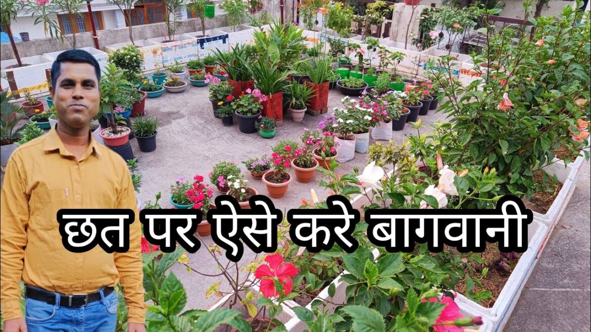 How to make terrace garden / Terrace garden ideas