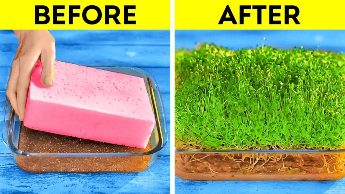 Gardening Hacks For Beginners || Smart Hacks To Grow Your Own Plants Gardening Hacks For Beginners || Smart Hacks To Grow Your Own Plants