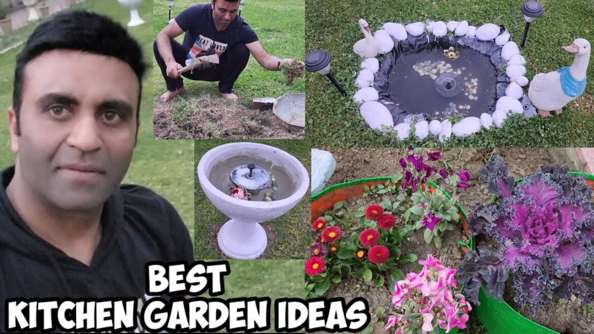 My New Kitchen Garden Vlog | Kitchen Garden Ideas | Gardening | Pond Making Ideas