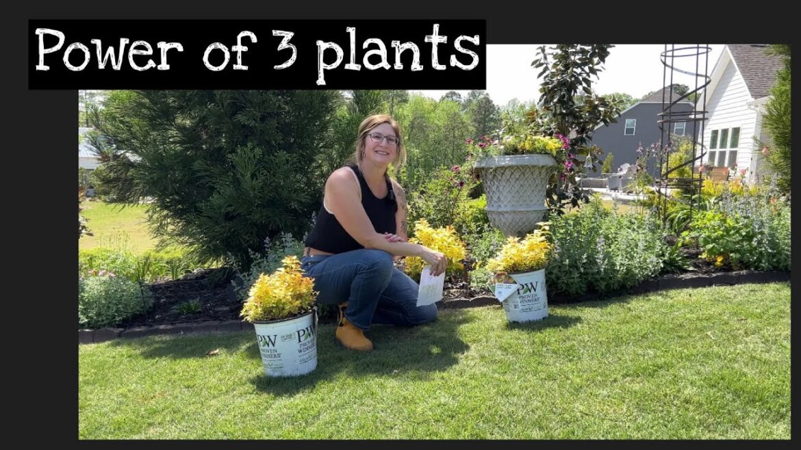 The Power of Planting in sets of 3: Bonus: Cottage Garden Tour April 2023. Plants Bring Wellbeing!! The Power of Planting in sets of 3: Bonus: Cottage Garden Tour April 2023. Plants Bring Wellbeing!!