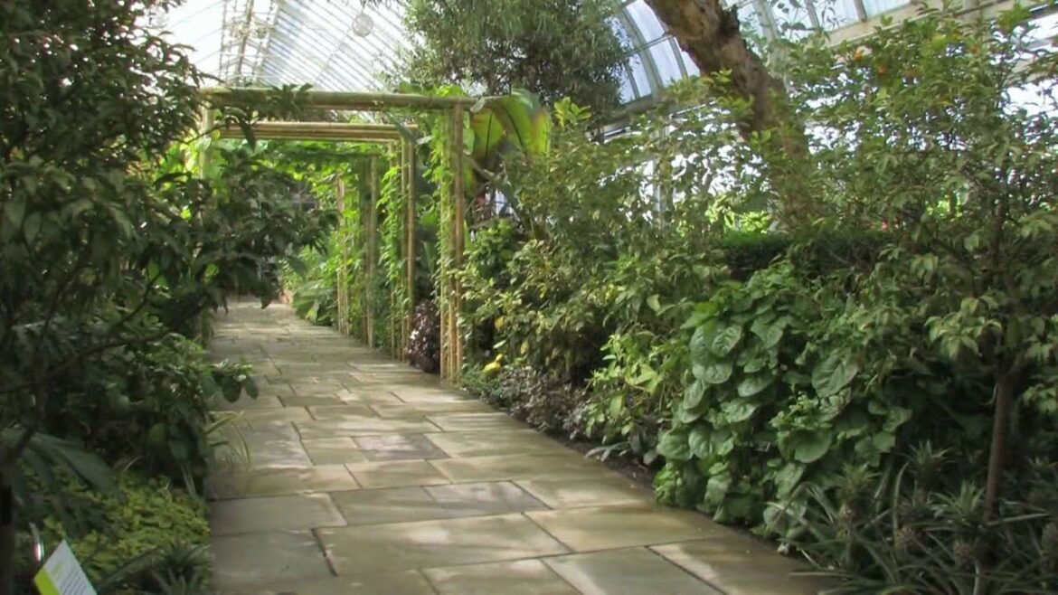 The Edible Garden