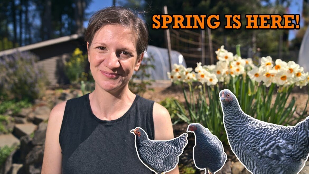Zone 8b Garden Tour | Spring 2023 | Gardening Pacific Northwest