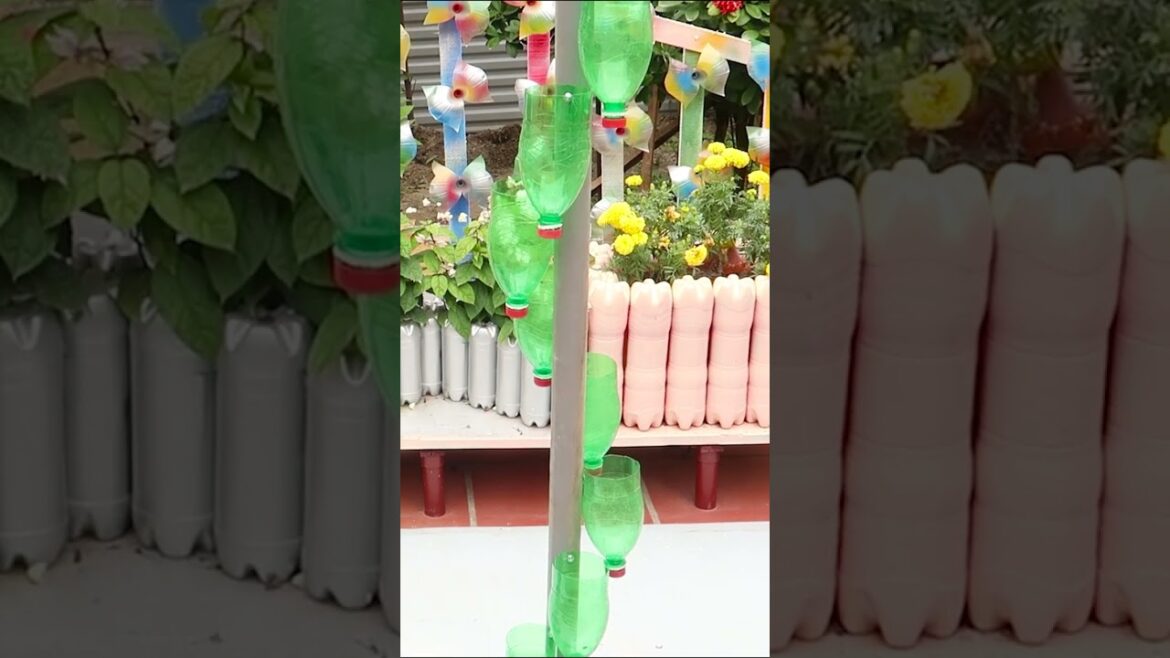 Recycling plastic bottles for growing onions and garlic, vertical garden ideas