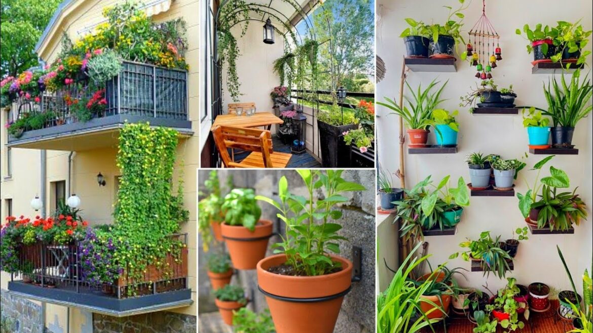 70+ Decore Balcony Garden Ideas  Designs| Balcony Decorations| Plants in Balcony | Gallery Decor