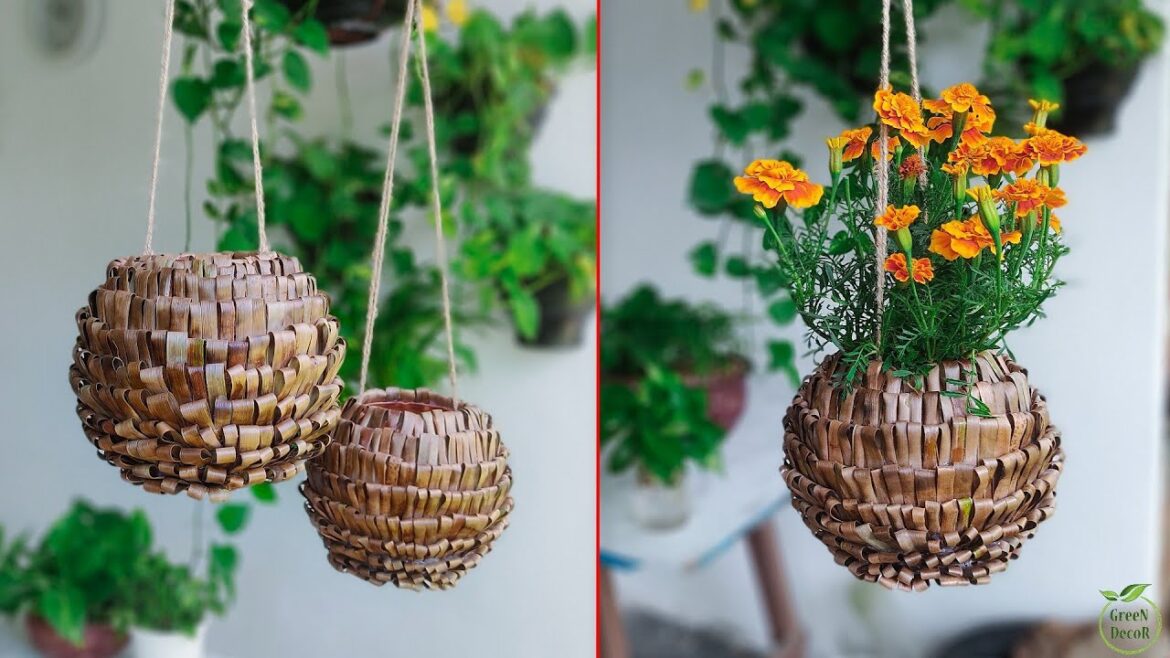 Amazing Hanging Plants Decoration Ideas For Home Decor Showpiece | DIY Hanging Planters//GREEN DECOR Amazing Hanging Plants Decoration Ideas For Home Decor Showpiece | DIY Hanging Planters//GREEN DECOR
