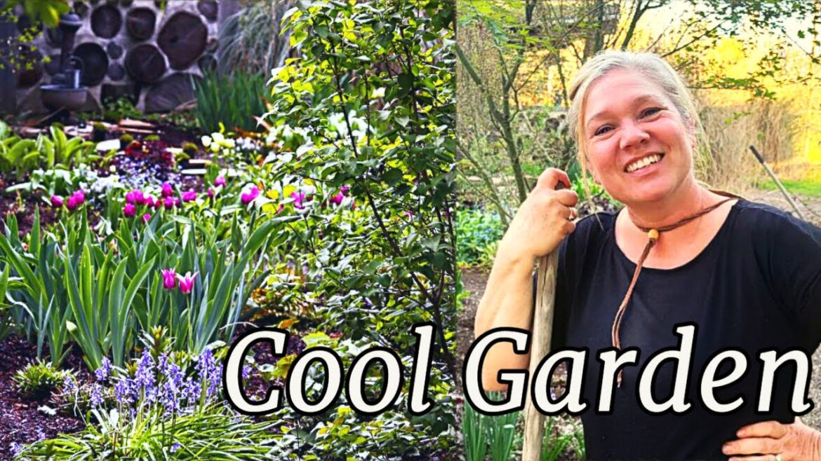 Touching up my cool garden for this summer! | Work on the farm | Weddings and plans! 🌸