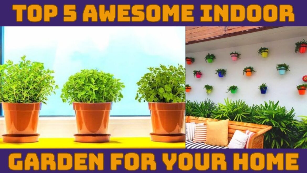 Top 5 Awesome Indoor Garden Ideas Top 5 Awesome Indoor Garden Ideas
