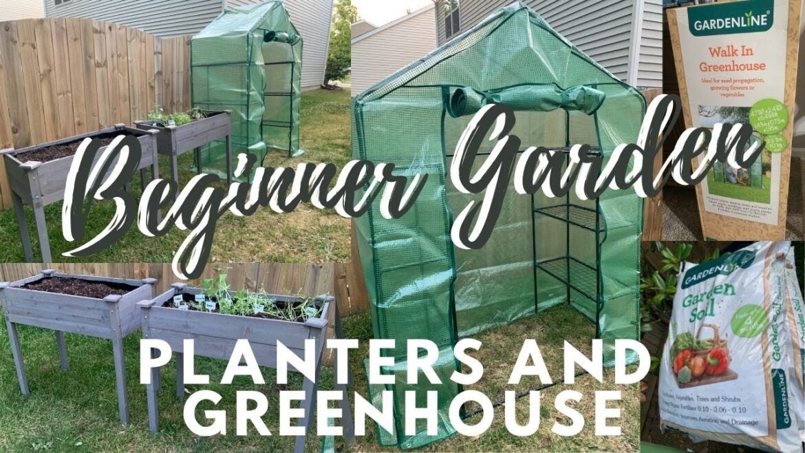 ALDI PLANTERS & GREENHOUSE | GARDENING SERIES #2 | BEGINNER GARDEN ALDI PLANTERS & GREENHOUSE | GARDENING SERIES #2 | BEGINNER GARDEN