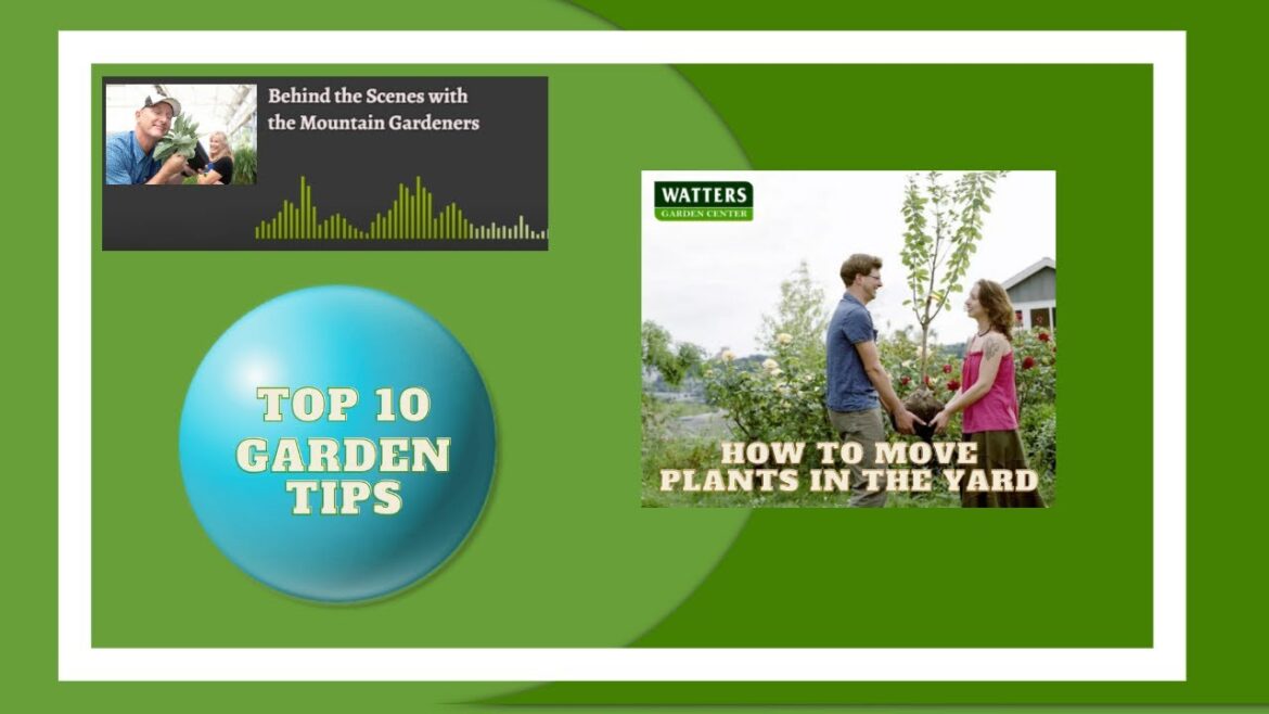 Top 10 Insider Garden Tips - How to Move Plants in the Yard Successfully