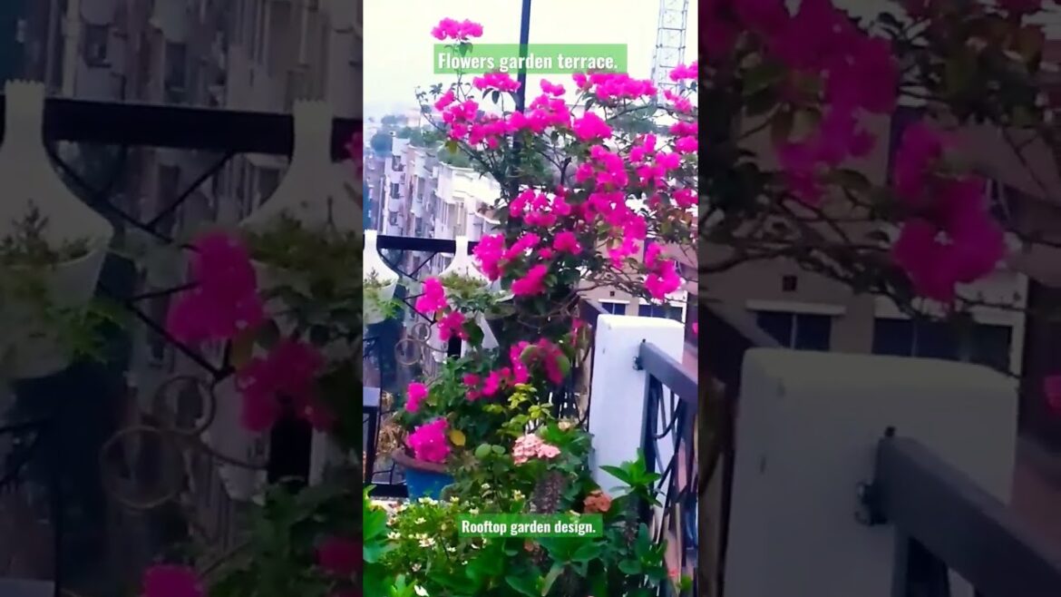 Flowers garden terrace. Rooftop garden design. Designers idea. #viral #shorts #short #design #roof