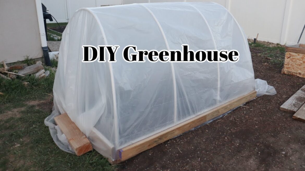 DIY Greenhouse anyone can make! | Backyard Gardening and Homesteading DIY Greenhouse anyone can make! | Backyard Gardening and Homesteading