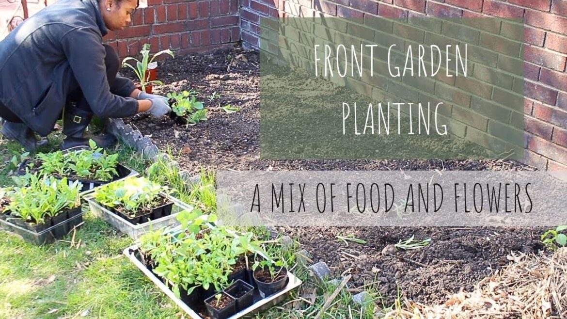 Planting Up The Front Yard PT1 Planting Up The Front Yard PT1