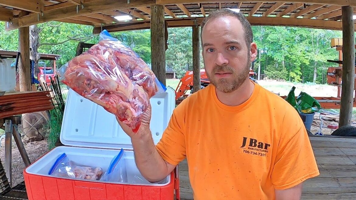 Food Doesn't Get Fresher Than This