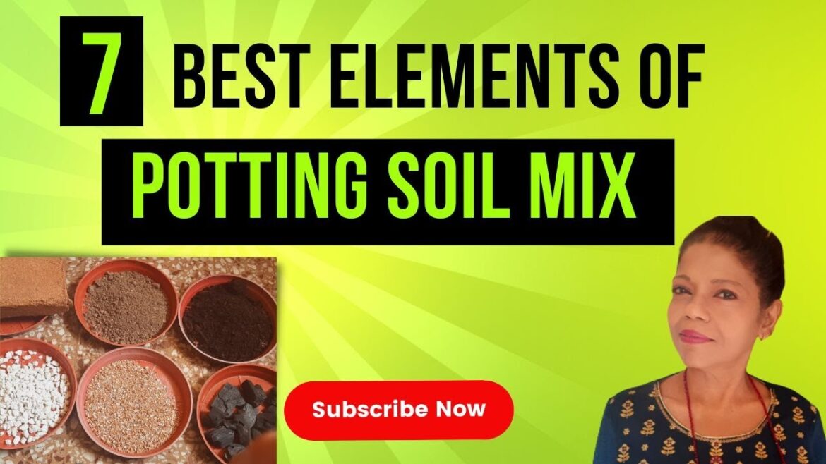 7 Best Elements of Potting Soil Mix |  Easy Gardening with Chandana #gardentips #pottingsoil