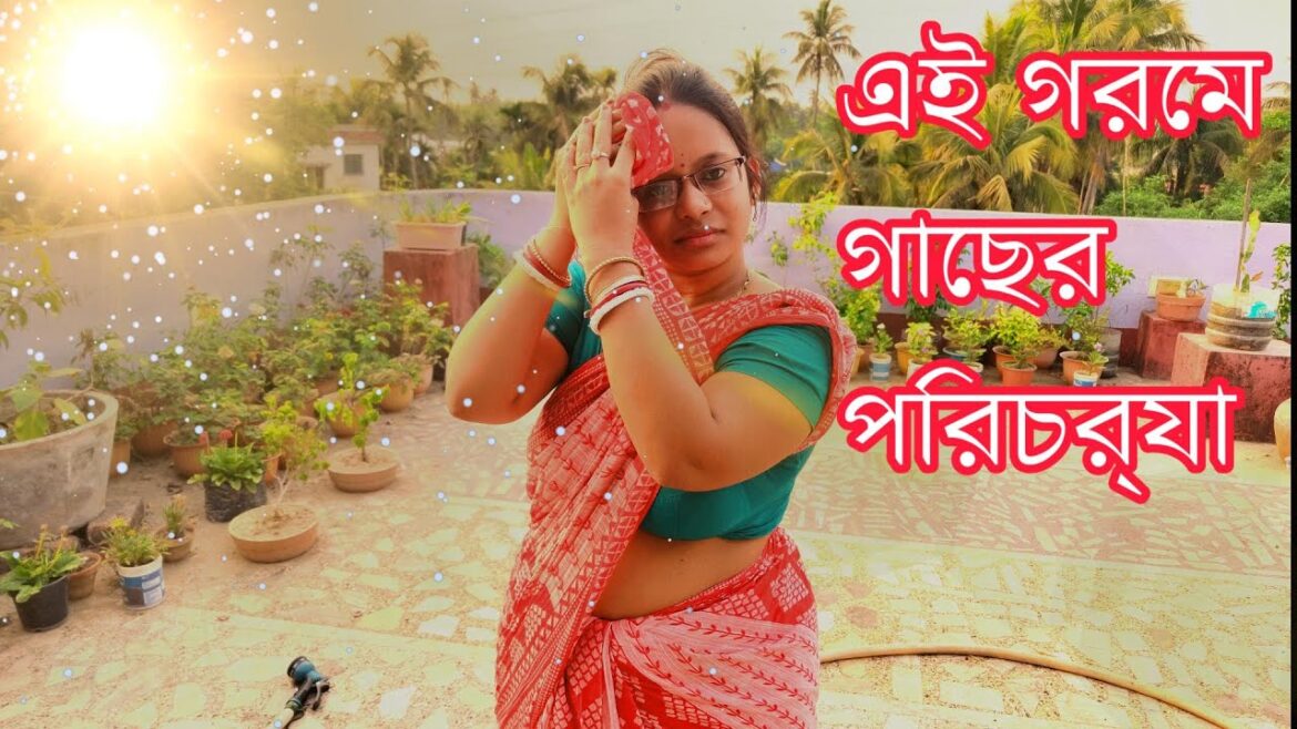 এই গরমে গাছের পরিচর্যা // Gardening Tips in Summer