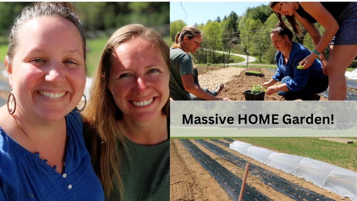 HOME Gardening on a MASSIVE SCALE : Planting a 7500 Square FOOT GARDEN! HOME Gardening on a MASSIVE SCALE : Planting a 7500 Square FOOT GARDEN!