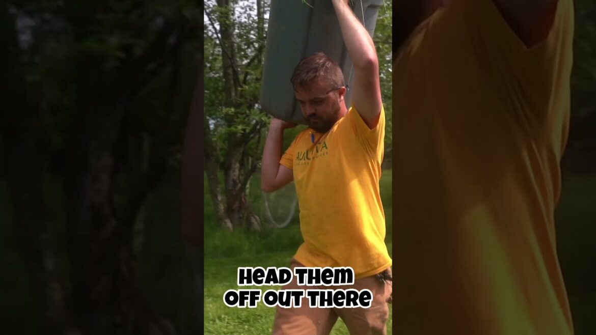 We Accidentally Started a Lawn WAR...