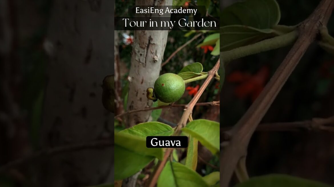 Names of Common TREES! | Tour in my Garden 🌴🪴