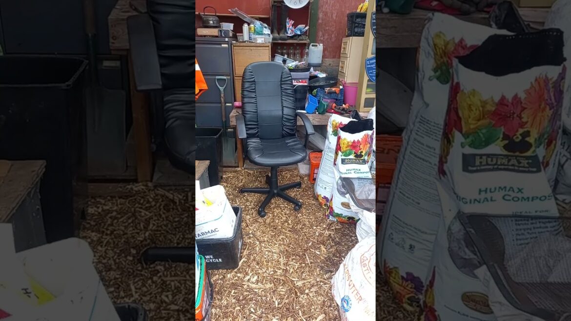 Out With The Old & In With The New Recycling #shorts