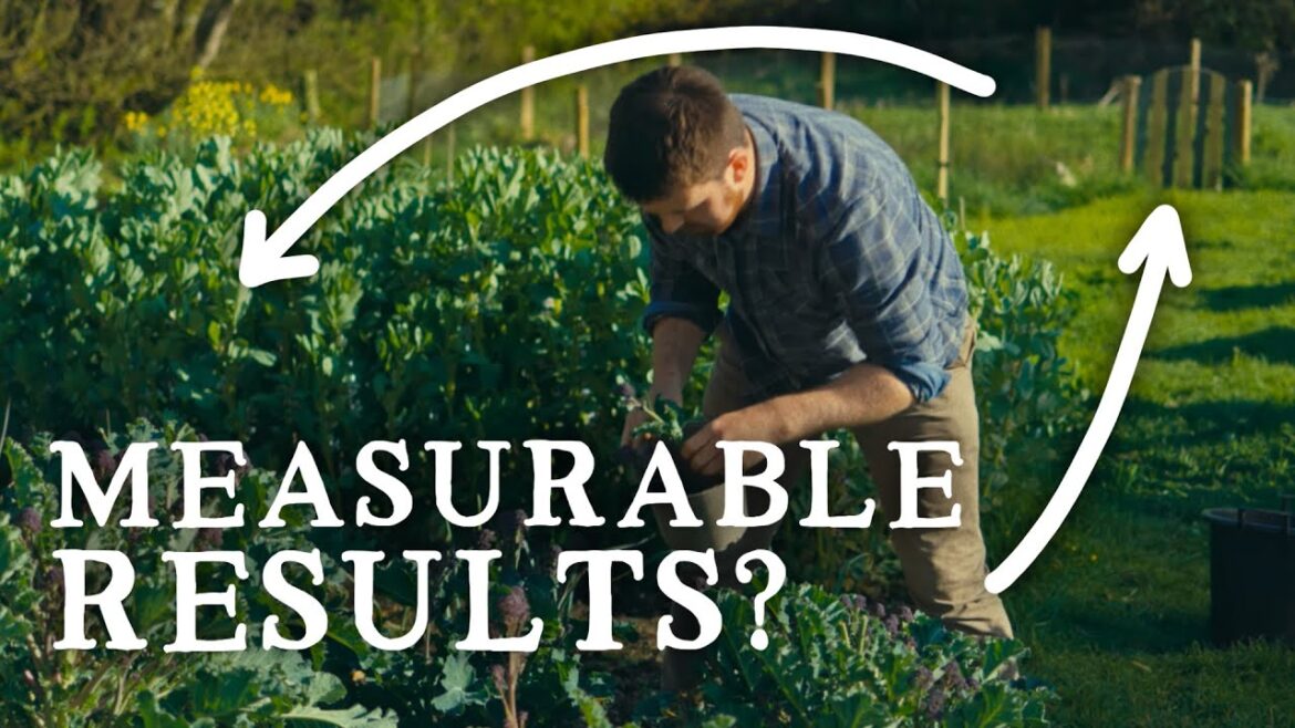 Using Grass to Boost Nutrition | Huw's Garden Diaries