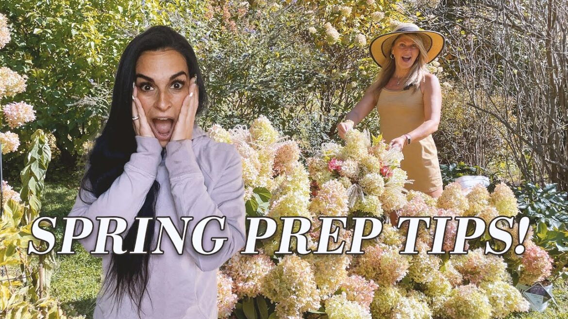 Spring Prep Tips for Your Garden with Kelly Lehman! | Art of Gardening Spring Prep Tips for Your Garden with Kelly Lehman! | Art of Gardening