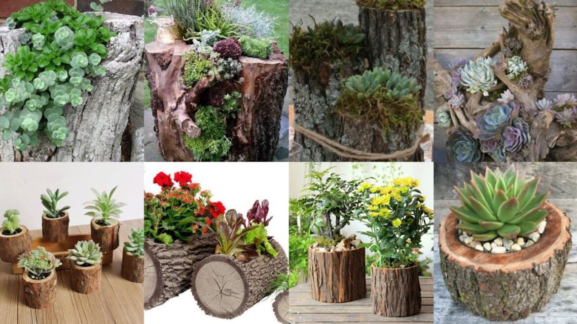 Top 50Backyard Wooden Fence Ideas | Backyard Garden Fence Privacy Compound Wood garden Decorations