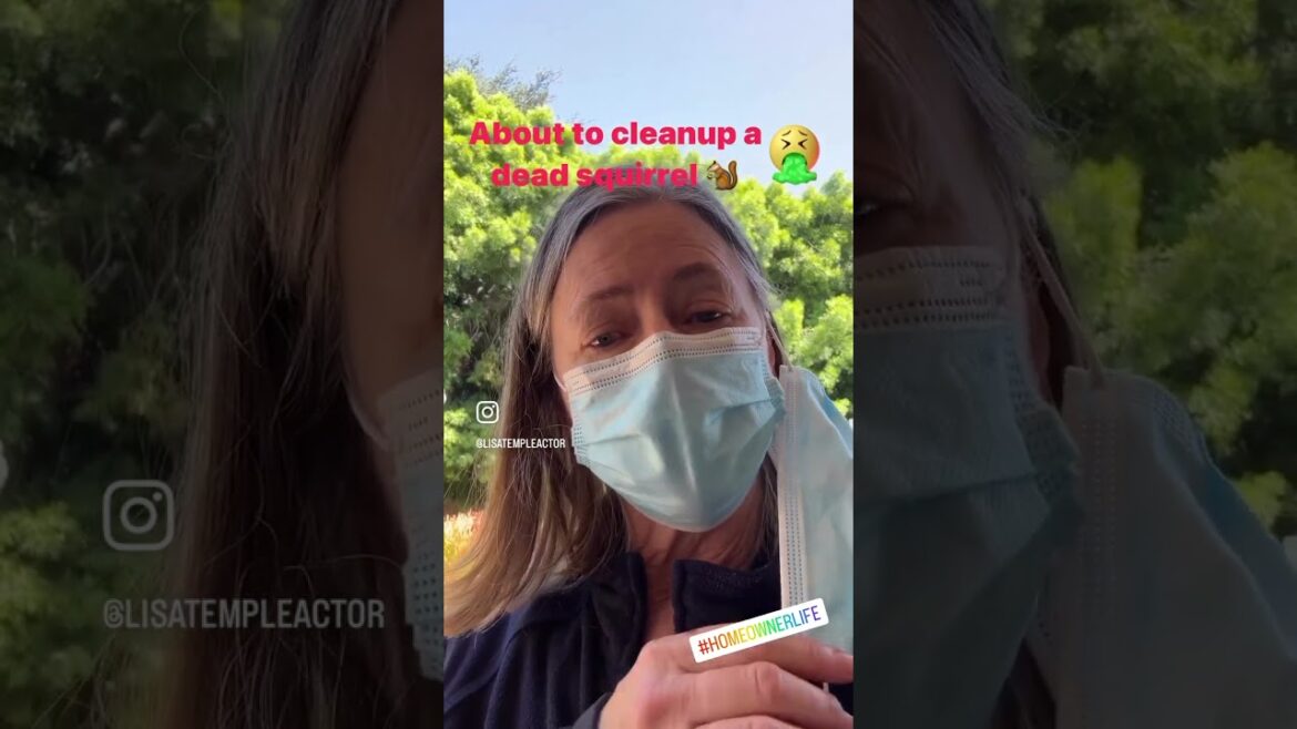 Backyard Garden Life 😳