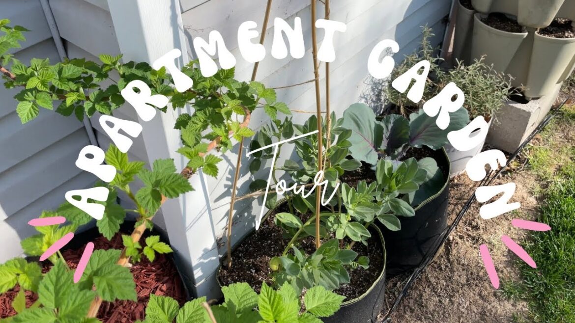 Late April Apartment Garden Tour!🌿 Greenstalk || Container Gardening🌸