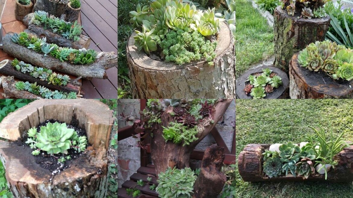 Top 50 New And Trendy Handmade Wooden Garden Decorations Ideas/Decor wood ideas