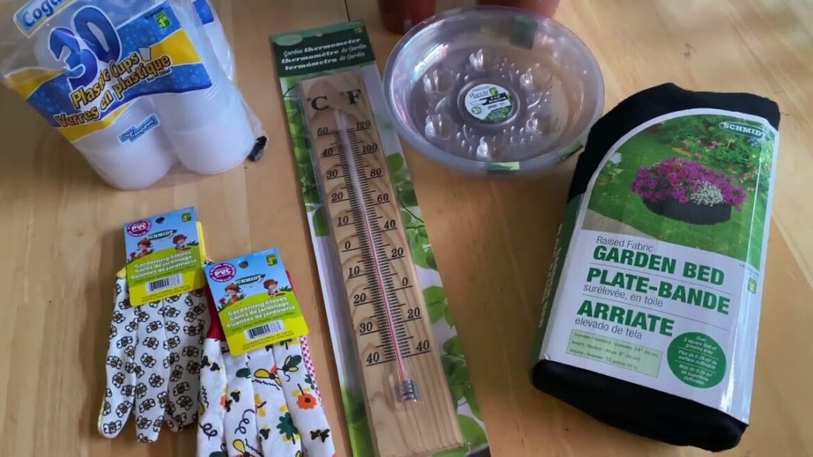 Dollarama vs Dollar Tree - Garden Supply Update & Mini Haul - March 24th 2022