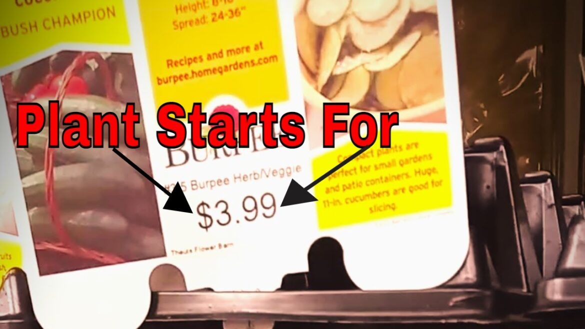 Another Source To Find Plant Starts | Beginner Gardening Tip