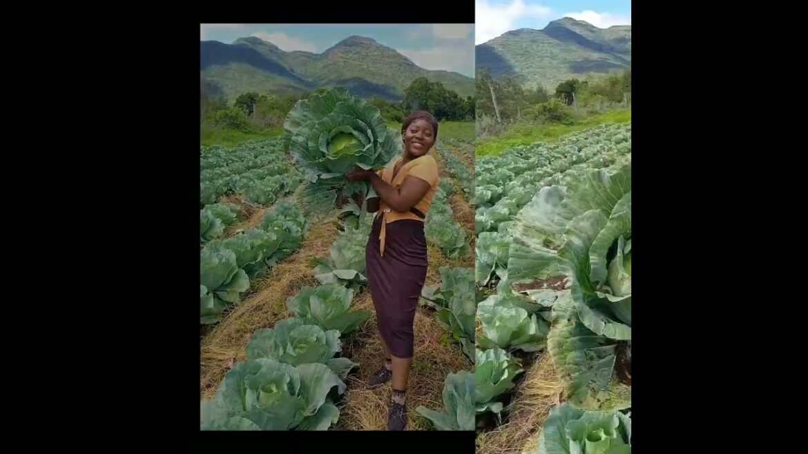 Why success is not a joke