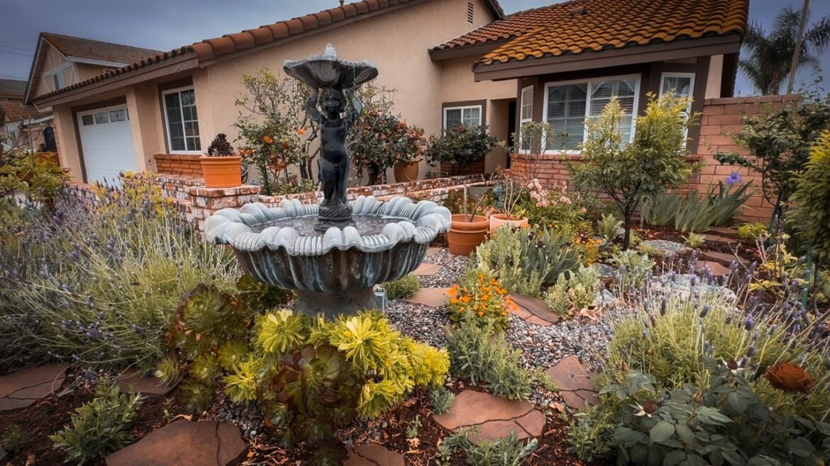 A Spring Tour of my Beautiful California Front Yard Garden