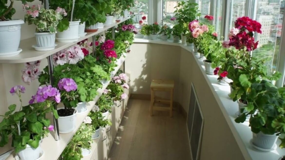 Balcony Garden Design Tips
