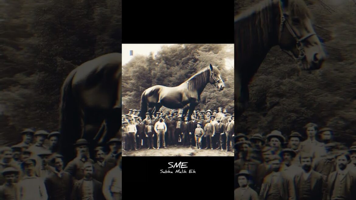 Mysteries picture of history😱| #shorts #viral #mystery #trending #history #amazing