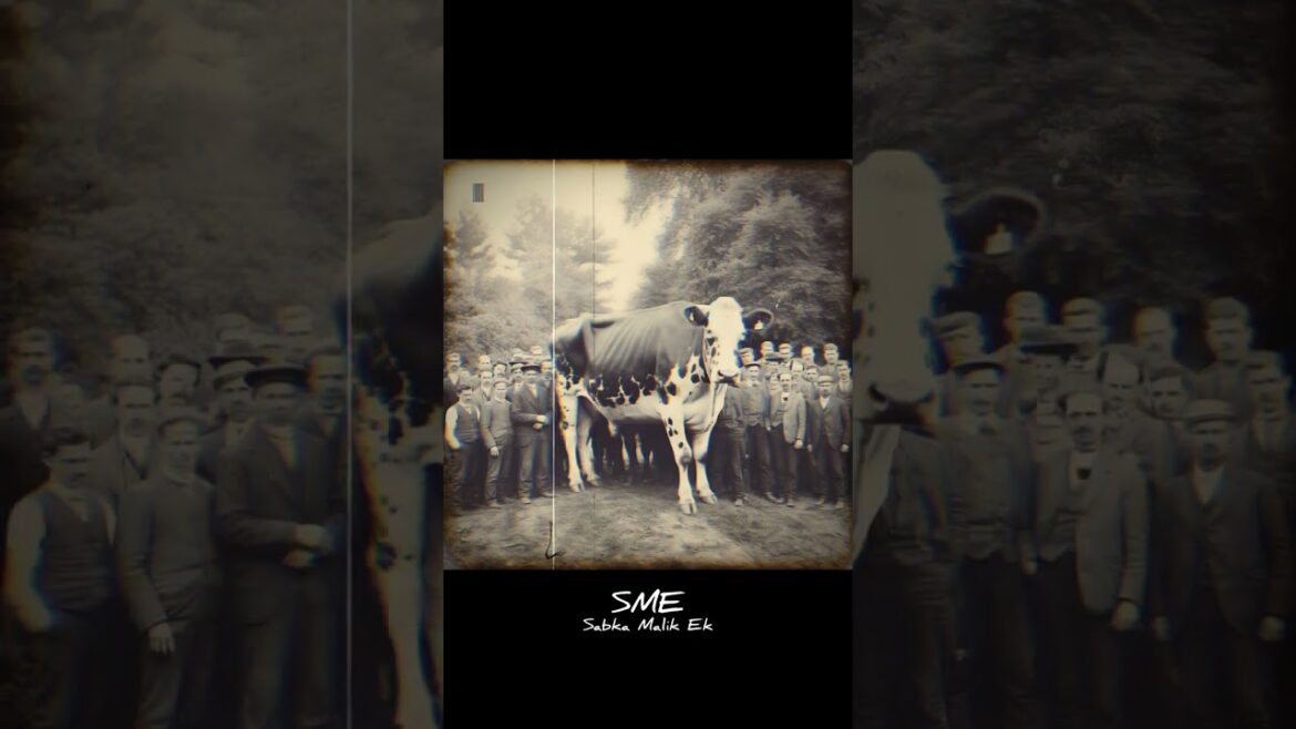 Mysteries picture of history😱| इतिहास की रहस्यमयी तस्वीर #shorts #viral #mystery #trending #history